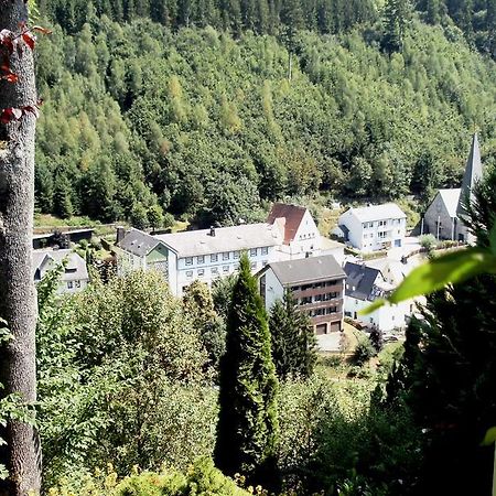 Gasthof Rodachtal Mit Gaestehaus Katharina Schwarzenbach am Wald Экстерьер фото