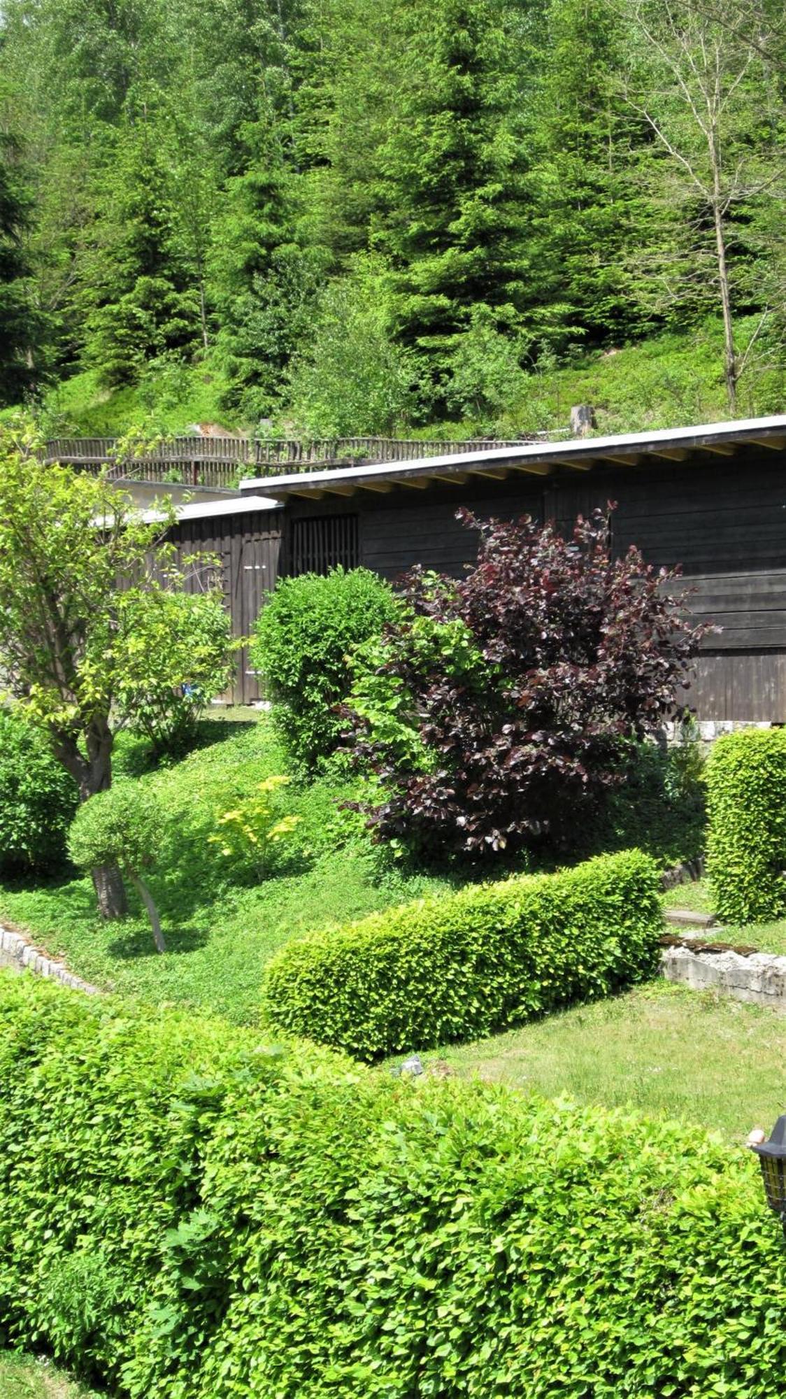 Gasthof Rodachtal Mit Gaestehaus Katharina Schwarzenbach am Wald Номер фото